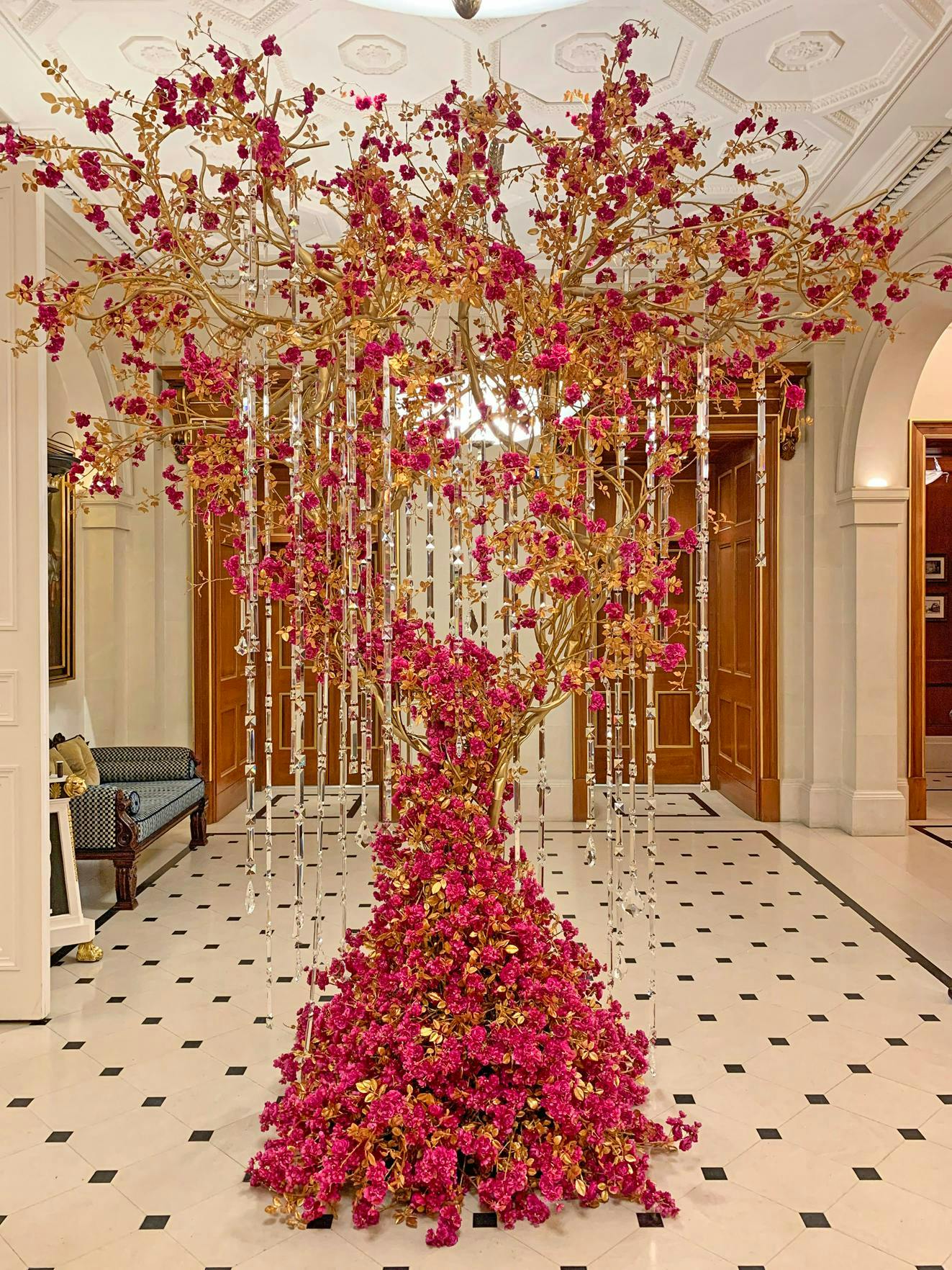 plant lobby indoors room interior design flower blossom floor petal