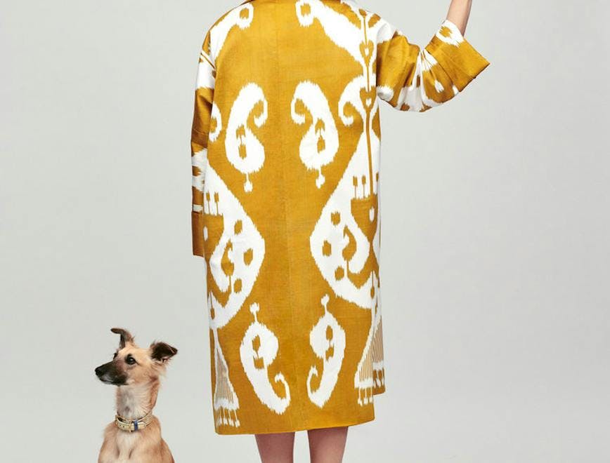 clothing apparel person human dog mammal animal canine pet sleeve